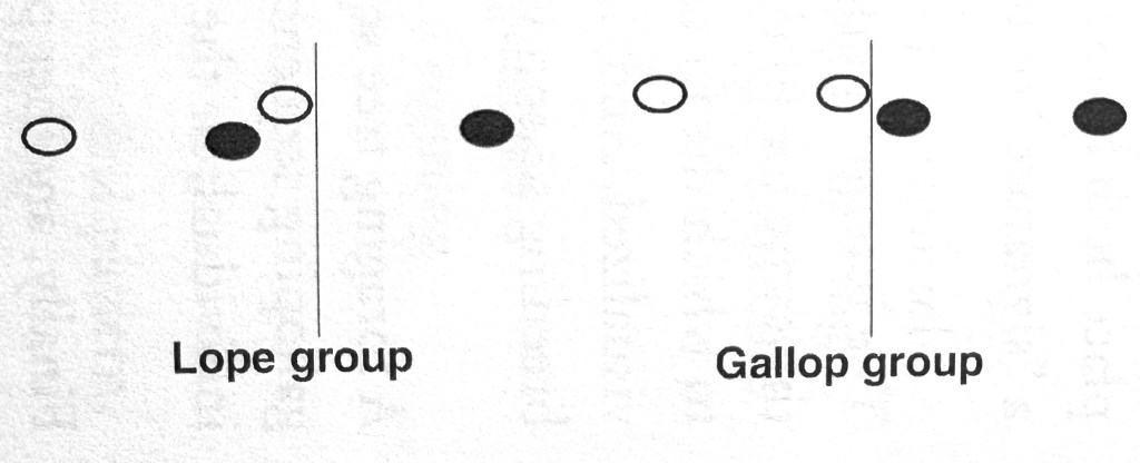 Diagram comparing the track patterns of a lope and a gallop, showing the arrangement of footfalls for each gait.