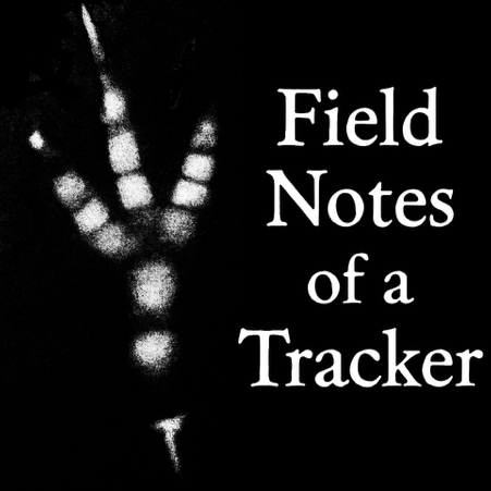 Field notes of a tracker