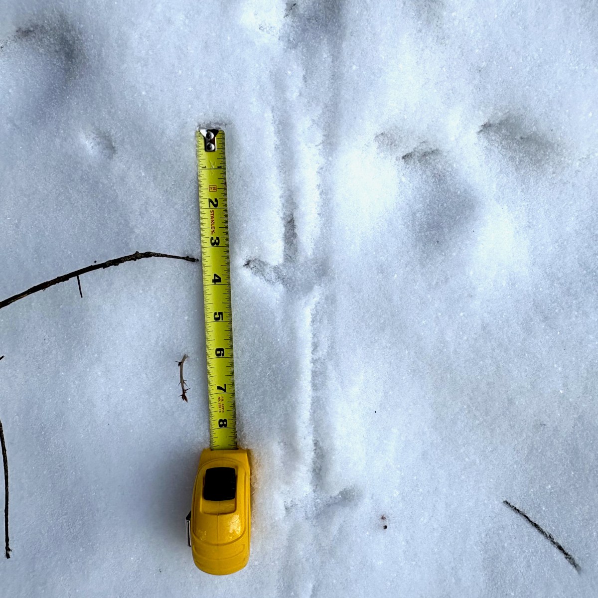 Boyne Valley Provincial Park&nbsp;trip