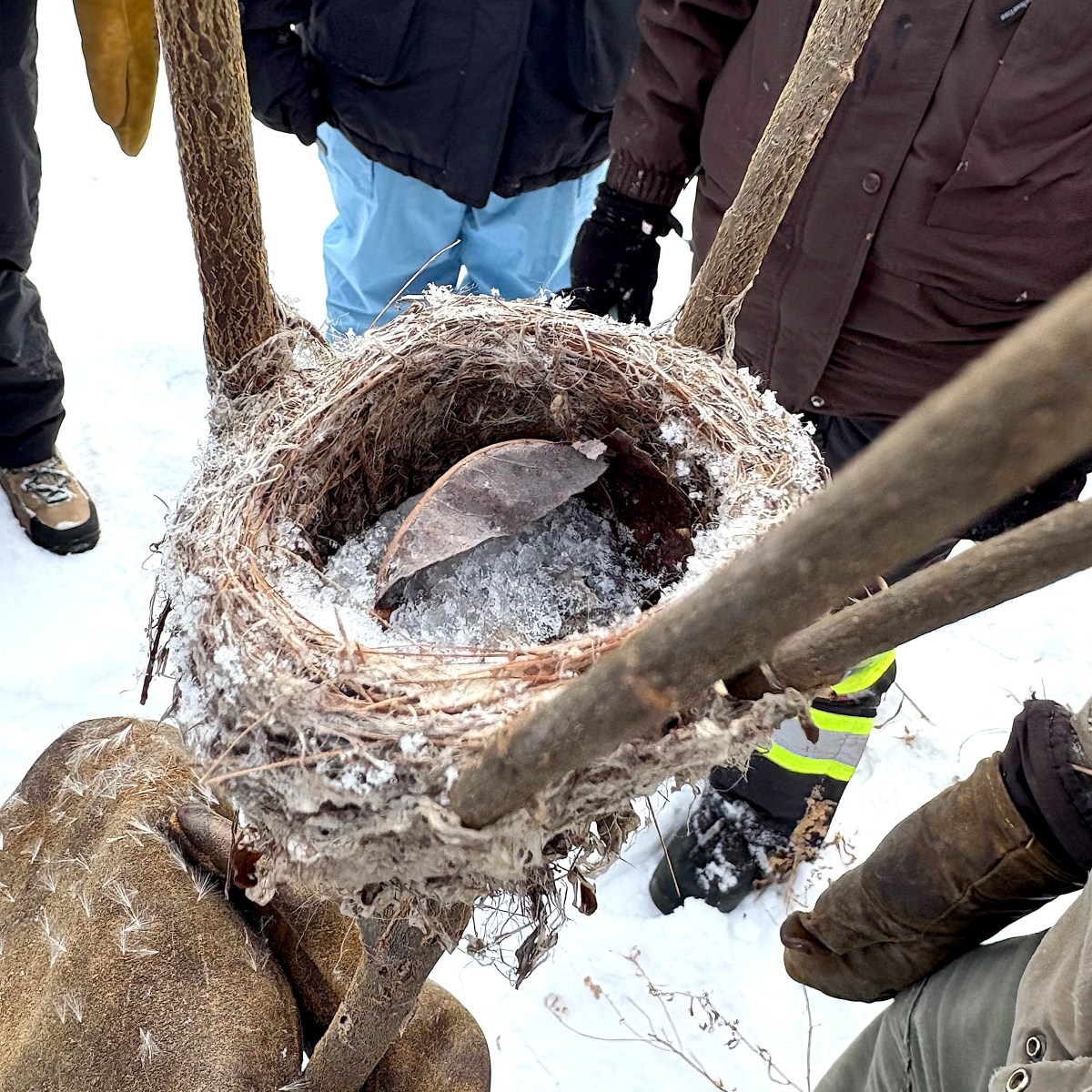 New Year’s Day&nbsp;Trip