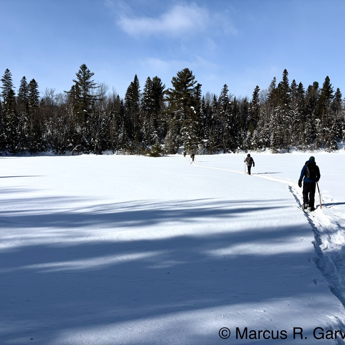 Winter Algonquin Park trip (day&nbsp;1)